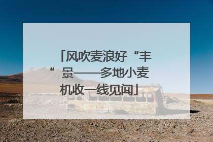 风吹麦浪好“丰”景——多地小麦机收一线见闻