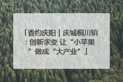 香约庆阳｜庆城桐川镇：创新求变 让“小苹果”做成“大产业”