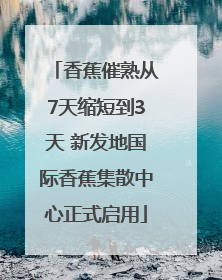 香蕉催熟从7天缩短到3天 新发地国际香蕉集散中心正式启用