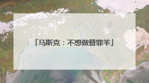 马斯克：不想做替罪羊