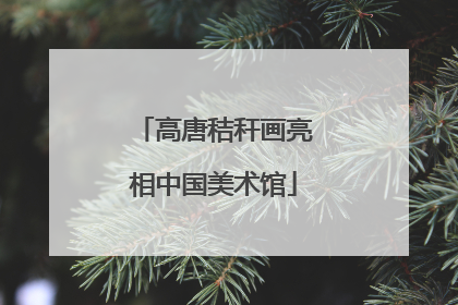 高唐秸秆画亮相中国美术馆