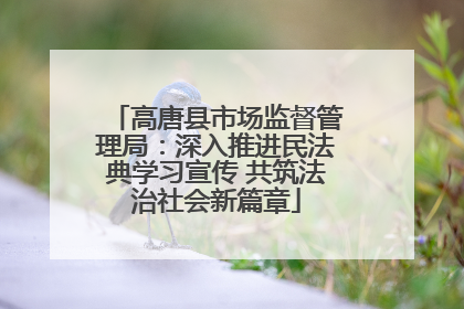 高唐县市场监督管理局：深入推进民法典学习宣传 共筑法治社会新篇章
