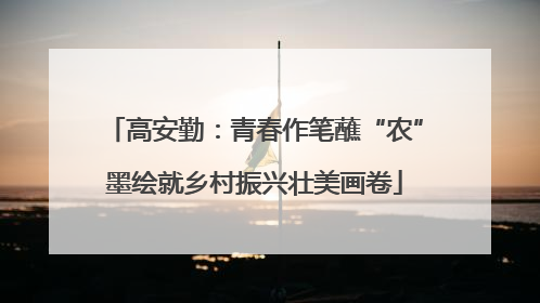 高安勤：青春作笔蘸“农”墨绘就乡村振兴壮美画卷