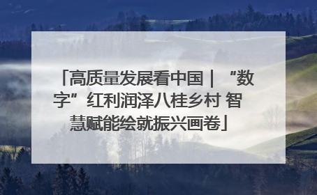 高质量发展看中国｜“数字”红利润泽八桂乡村 智慧赋能绘就振兴画卷