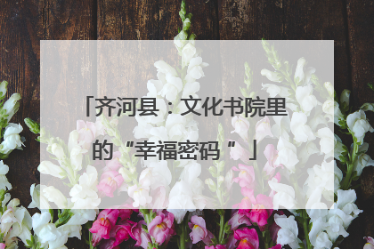 齐河县：文化书院里的“幸福密码 ”