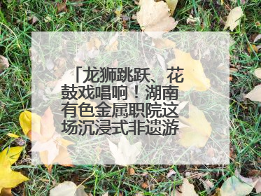 龙狮跳跃、花鼓戏唱响！湖南有色金属职院这场沉浸式非遗游园活动很带感