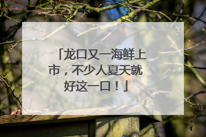 龙口又一海鲜上市，不少人夏天就好这一口！