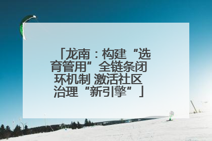 龙南：构建“选育管用”全链条闭环机制 激活社区治理“新引擎”