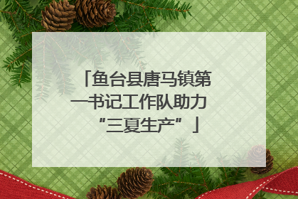 鱼台县唐马镇第一书记工作队助力“三夏生产”