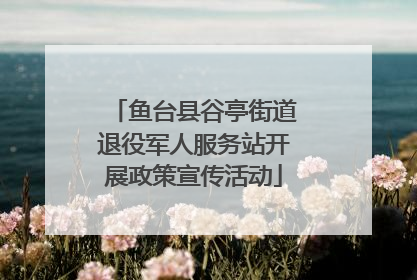 鱼台县谷亭街道退役军人服务站开展政策宣传活动