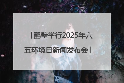 鹤壁举行2025年六五环境日新闻发布会
