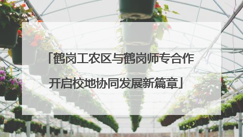 鹤岗工农区与鹤岗师专合作 开启校地协同发展新篇章