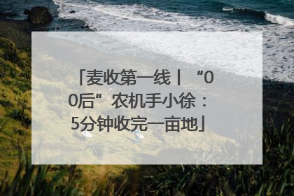 麦收第一线丨“00后”农机手小徐：5分钟收完一亩地