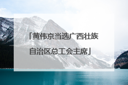 黄伟京当选广西壮族自治区总工会主席