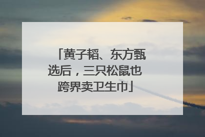 黄子韬、东方甄选后，三只松鼠也跨界卖卫生巾