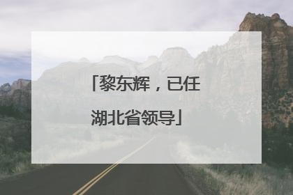 黎东辉，已任湖北省领导