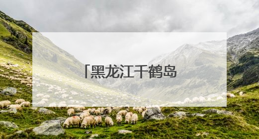 黑龙江千鹤岛首次发现自然界罕见白鸬鹚