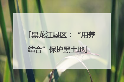 黑龙江垦区：“用养结合”保护黑土地