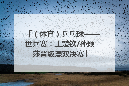 （体育）乒乓球——世乒赛：王楚钦/孙颖莎晋级混双决赛