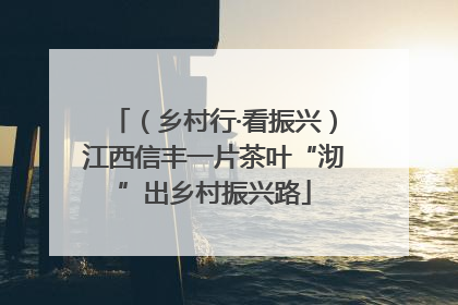 （乡村行·看振兴）江西信丰一片茶叶“沏”出乡村振兴路