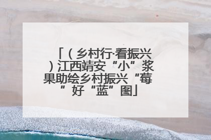 （乡村行·看振兴）江西靖安“小”浆果助绘乡村振兴“莓”好“蓝”图