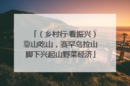 （乡村行·看振兴）靠山吃山，赛罕乌拉山脚下兴起山野菜经济