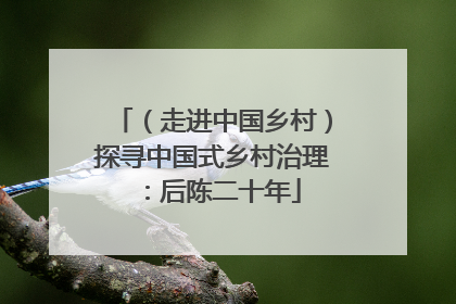 （走进中国乡村）探寻中国式乡村治理：后陈二十年