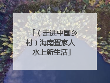 （走进中国乡村）海南疍家人 水上新生活