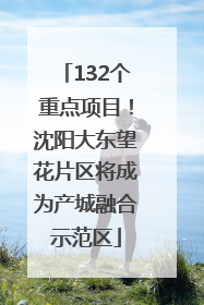 132个重点项目！沈阳大东望花片区将成为产城融合示范区