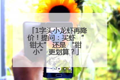 1字头小龙虾再降价！提问：买虾 “钳大” 还是 “钳小” 更划算？