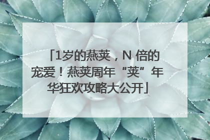 1岁的燕荚，N 倍的宠爱！燕荚周年“荚”年华狂欢攻略大公开