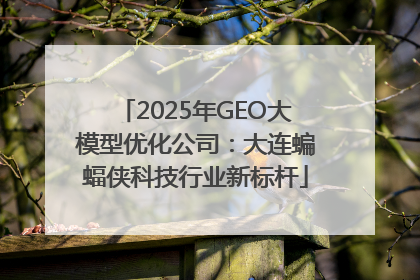 2025年GEO大模型优化公司：大连蝙蝠侠科技行业新标杆