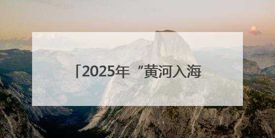 2025年“黄河入海•才聚东营”招才引智高校行活动成功举办