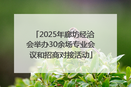 2025年廊坊经洽会举办30余场专业会议和招商对接活动