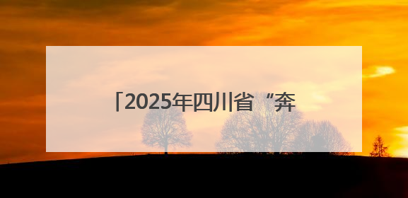 2025年四川省“奔跑吧·少年”系列活动释放青少年成长新动能