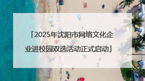 2025年沈阳市网络文化企业进校园双选活动正式启动