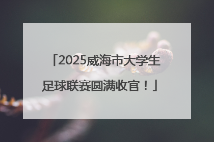 2025威海市大学生足球联赛圆满收官！