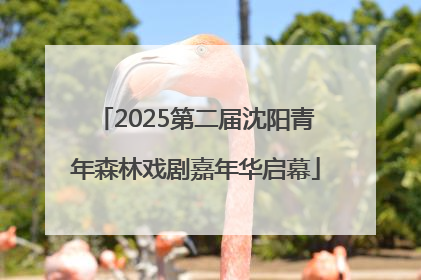 2025第二届沈阳青年森林戏剧嘉年华启幕