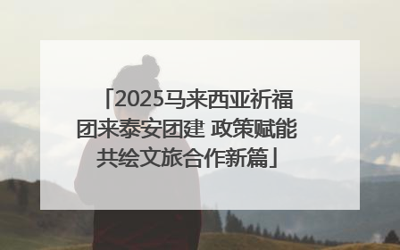 2025马来西亚祈福团来泰安团建 政策赋能共绘文旅合作新篇