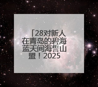 28对新人在青岛的碧海蓝天间海誓山盟！2025年新时代集体婚礼在青岛滨海国际中心文明实践广场举行