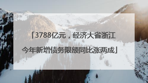 3788亿元，经济大省浙江今年新增债务限额同比涨两成
