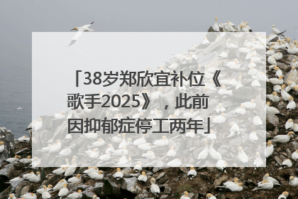 38岁郑欣宜补位《歌手2025》，此前因抑郁症停工两年