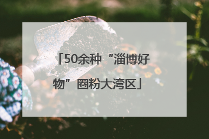 50余种“淄博好物”圈粉大湾区