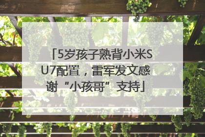 5岁孩子熟背小米SU7配置，雷军发文感谢“小孩哥”支持