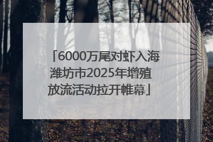 6000万尾对虾入海 潍坊市2025年增殖放流活动拉开帷幕