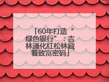 60年打造“绿色银行”：吉林通化红松林藏着致富密码