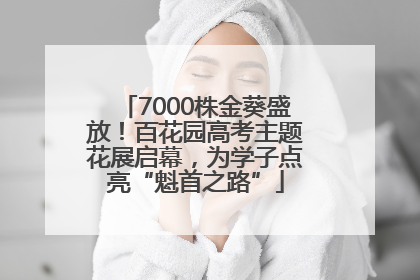 7000株金葵盛放！百花园高考主题花展启幕，为学子点亮“魁首之路”