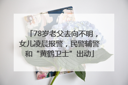 78岁老父去向不明，女儿凌晨报警，民警辅警和“黄鹤卫士”出动