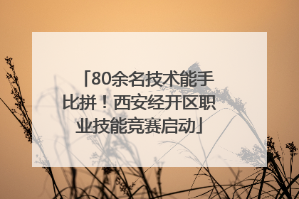 80余名技术能手比拼！西安经开区职业技能竞赛启动