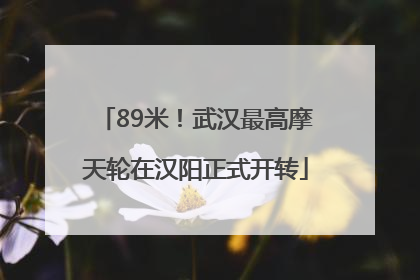 89米！武汉最高摩天轮在汉阳正式开转